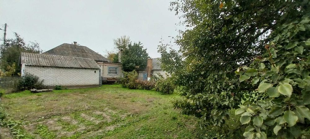 Продам будинок зі своїм берегом.