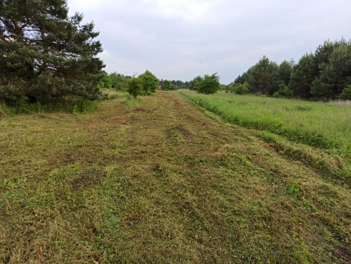 Koszenie ,Usługi kosiarką bijakową ,koszenie nieużytków, pól, łąk.