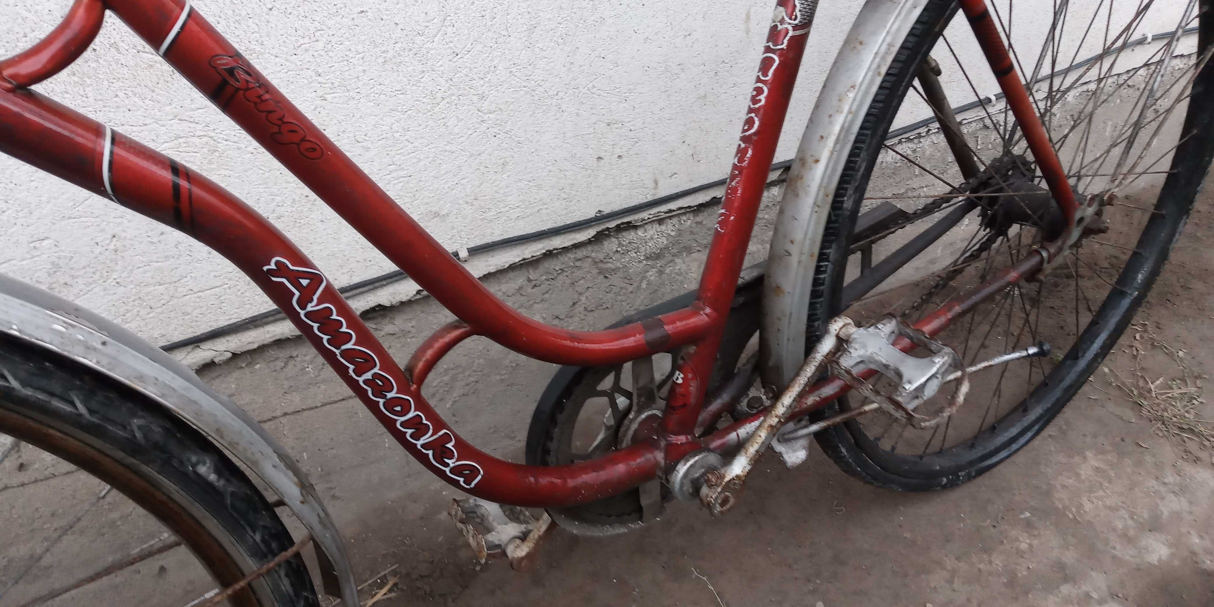 Stary rower do renowacji, kwietnik, ozdoba ogrodu