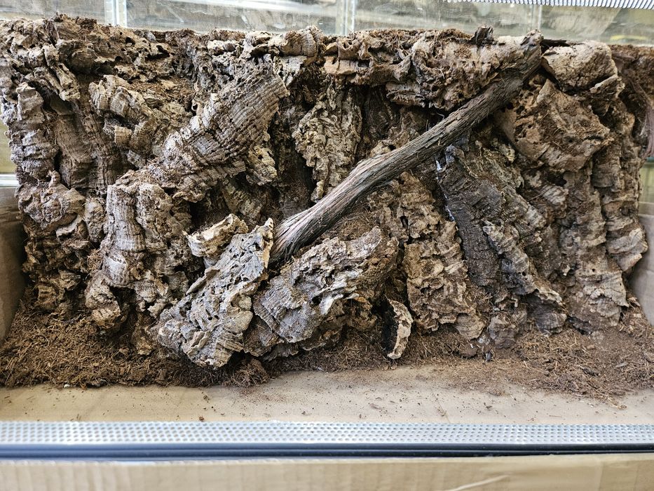 Terrarium 80x40x40 Nowe! Tło z tuby korkowej