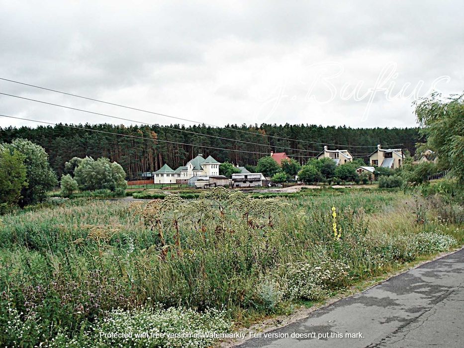 Одеський шлях. В. Салтанівка. Ділянка в сосновому лісі 25 с.