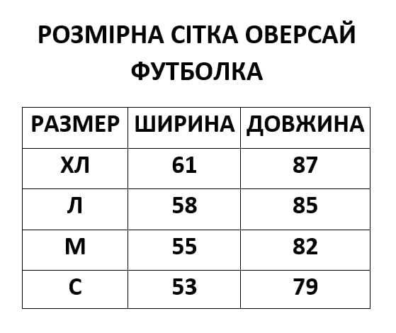 Чоловічий спортивний костюм Olimp ( шорти+футболка)