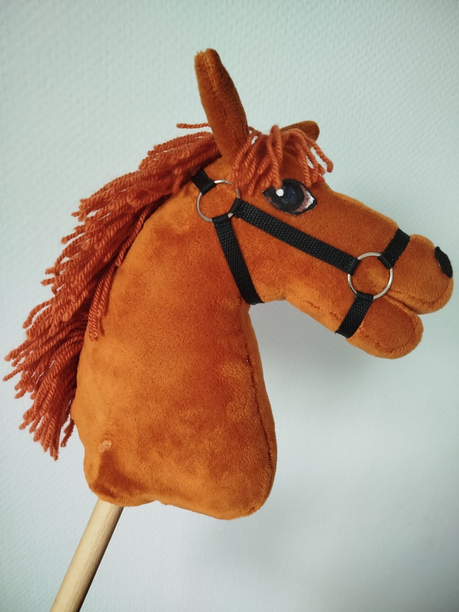 Hobby horse rudy A4