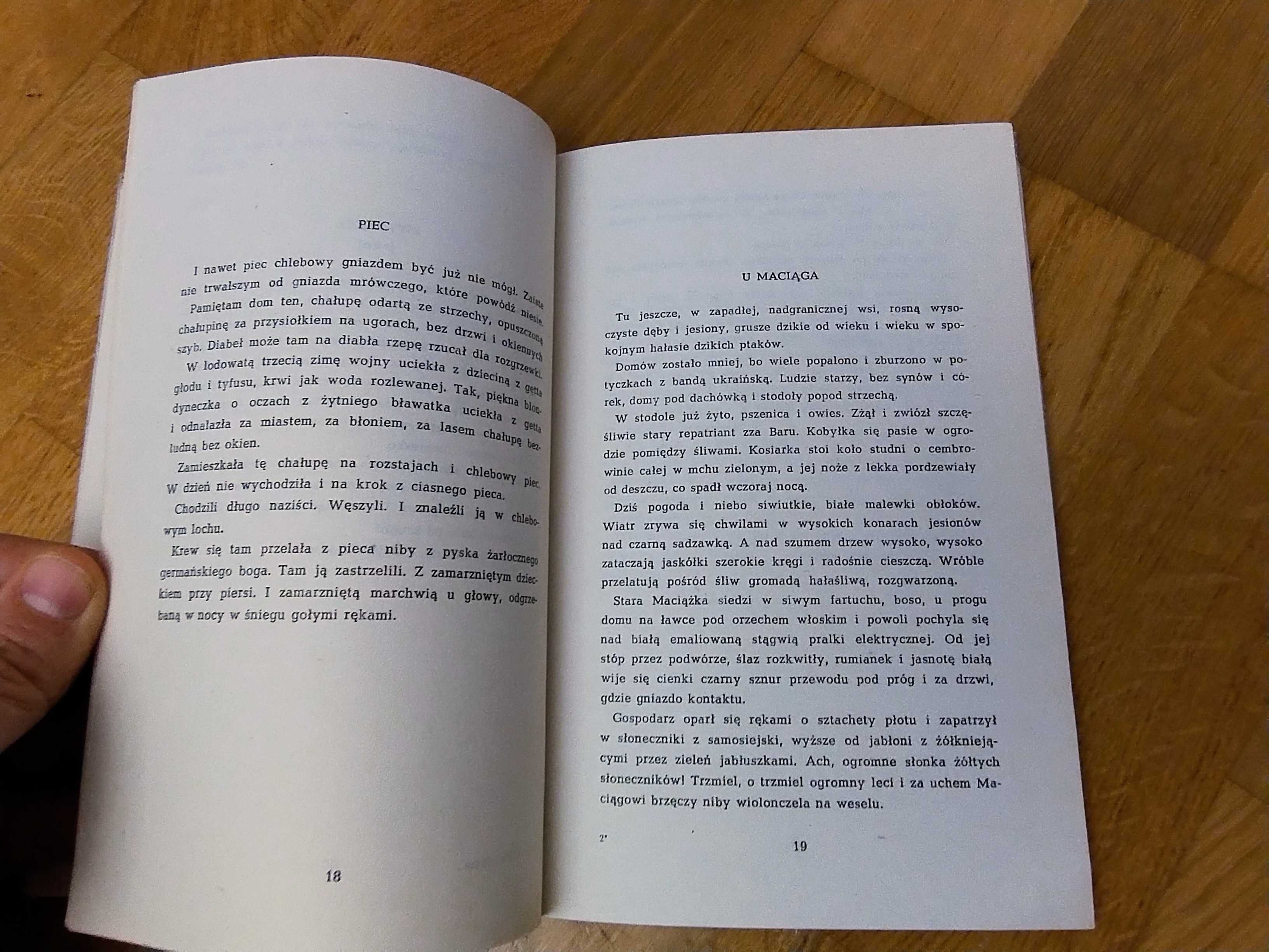 Książka Przejechane słońce Jan Bolesław Ożóg