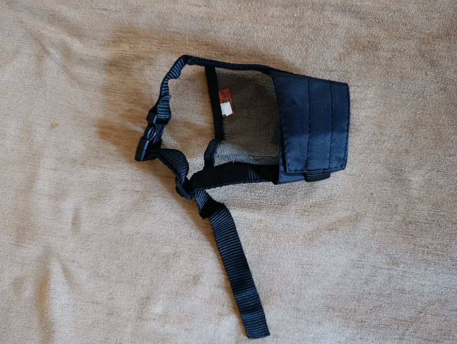 Набір аксесуарів для собак: іграшки, повідки, щітки, поїлка, намордник