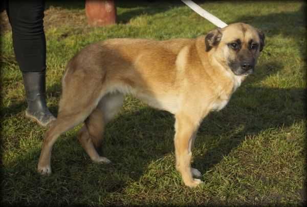 Spokojna Tina szuka nowego domku