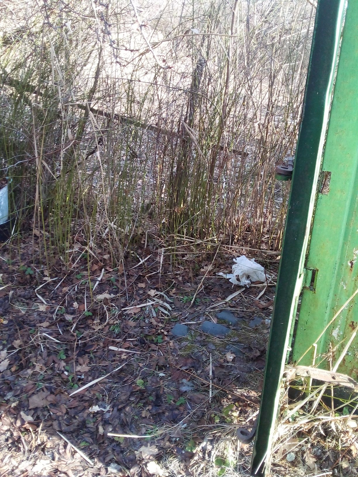 Продам дачну ділянку район цецино