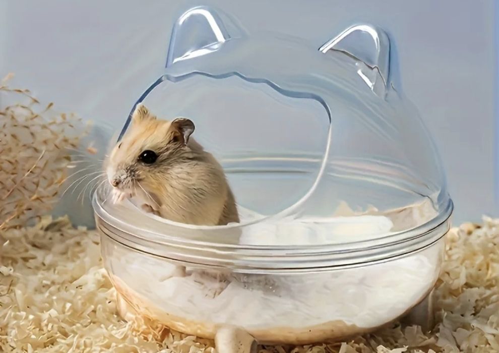 Dla chomika . Piaskownica