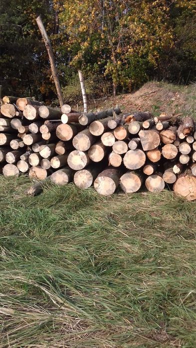 sprzedam drewno opałowe sosna 100 % SUCHE