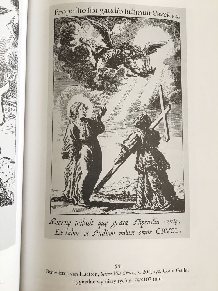 Janusz Pelc. Słowo i Obraz