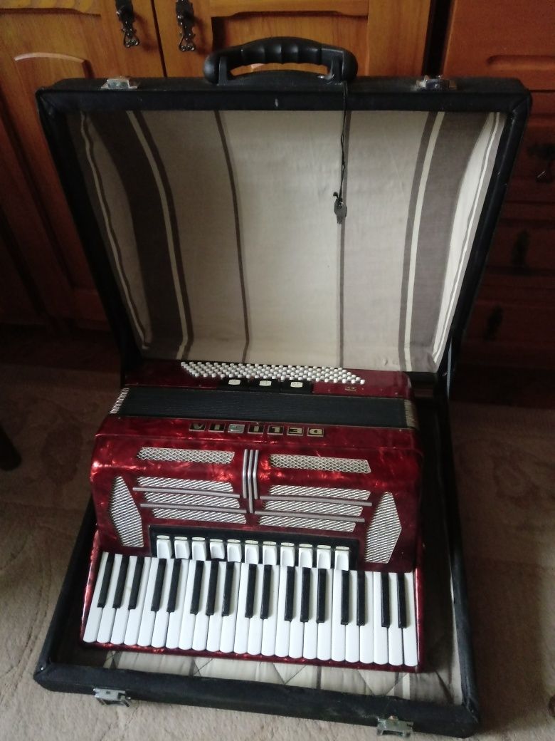 Akordeon Delicja 120 basowy + futerał