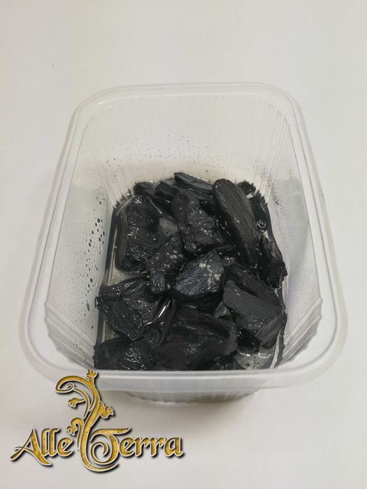 Skoczogonki hodowla zarodkowa