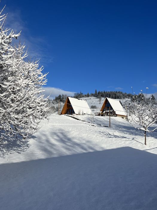 Котедж для відпочинку в Карпатах. Тихий куточок