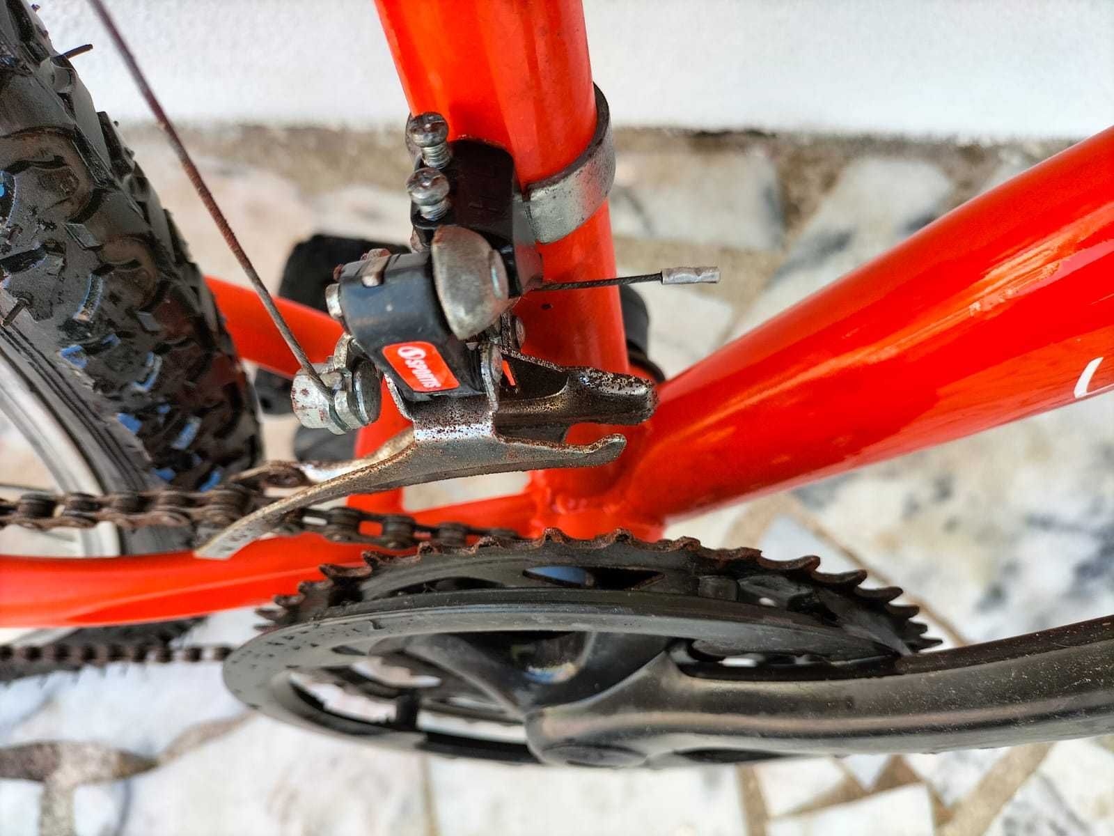 Bicicleta Bike Tour Adulto