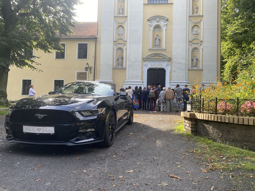 Wynajem Ford Mustang Cabrio wypożyczalnia