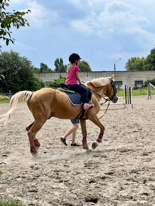 Львів • Реабілітація / Іпотерапія для дітей • вул. Стрийська, 119а