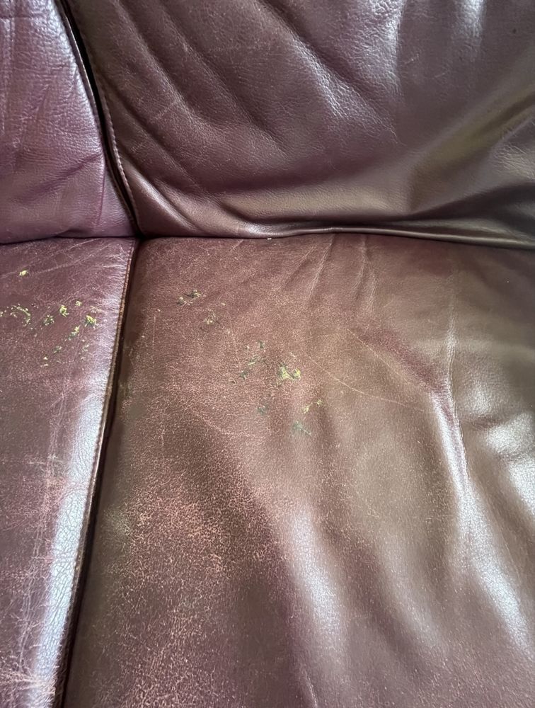Ciamna Skórzana Sofa