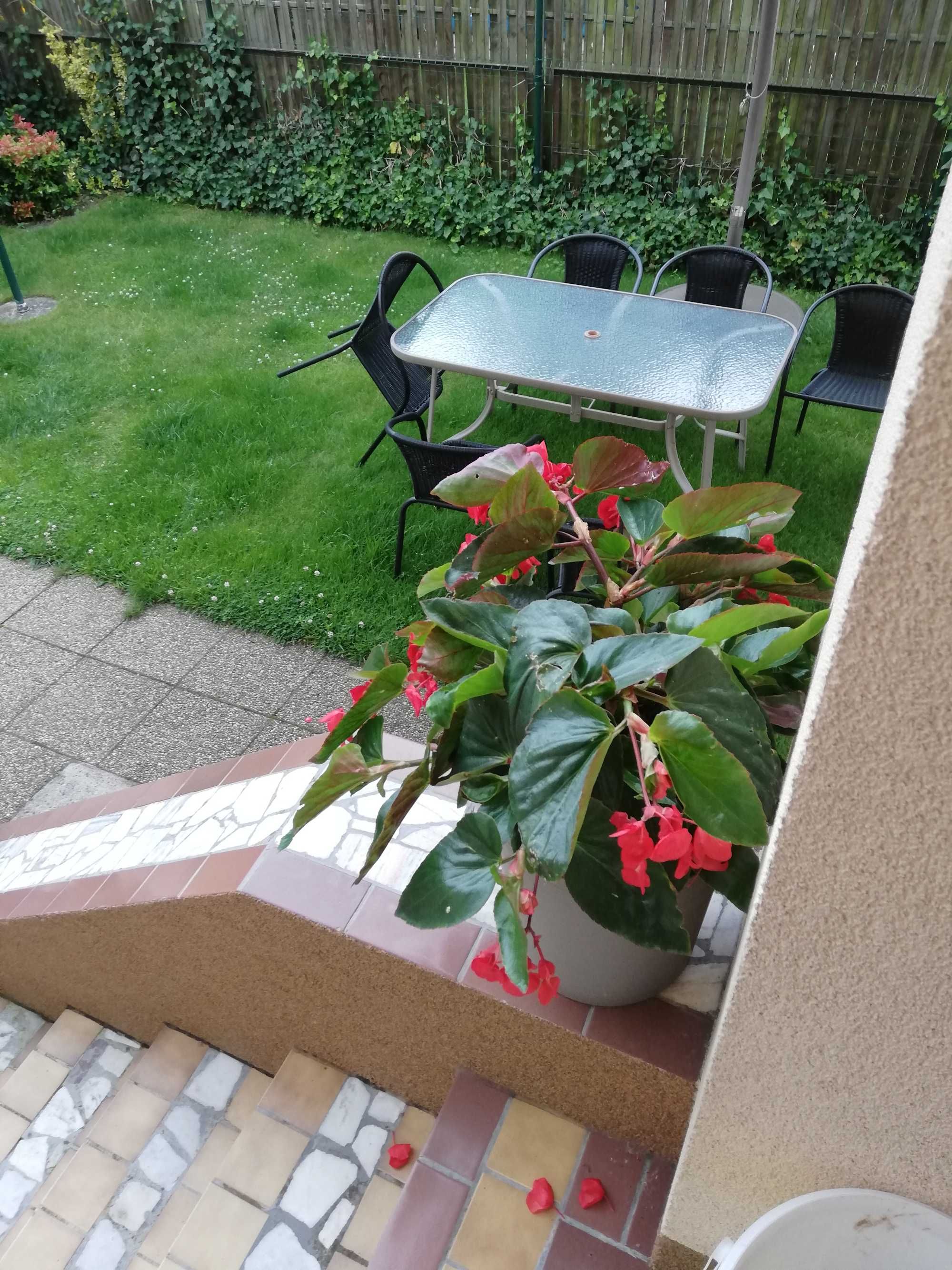 Kołobrzeg Noclegi Kwatery Pokoje u Teresy dla 2 osób, Maciejewicza 3