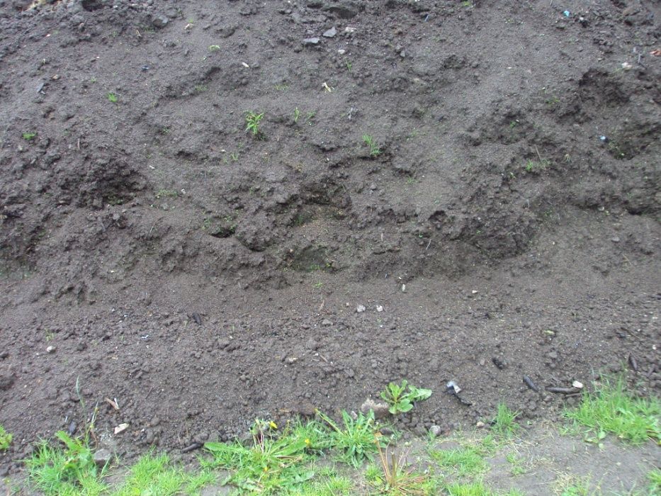 Torf, humus, ziemia ogrodowa 1 t Karpacz z transportem