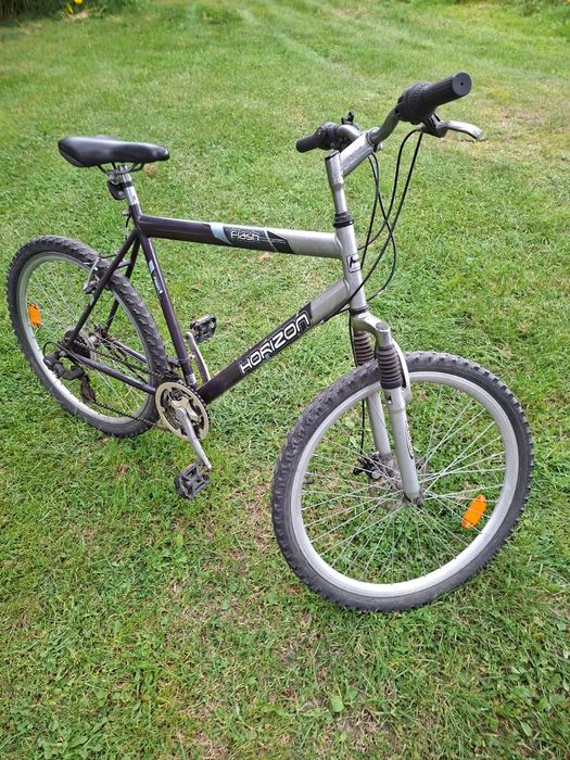 Rower męski Horizon Flash