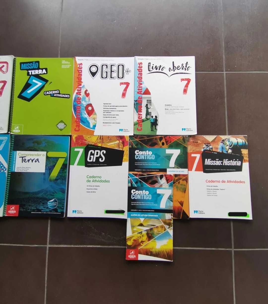 Manuais e Livros de fichas do 7°Ano