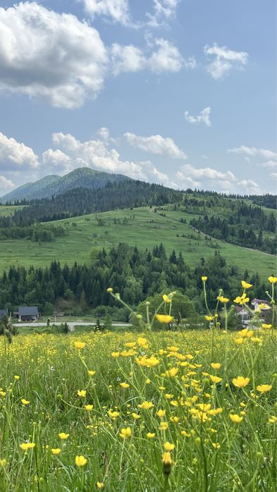 Земельна ділянка біля курорту GORO БЕЗ КОМІСІЇ