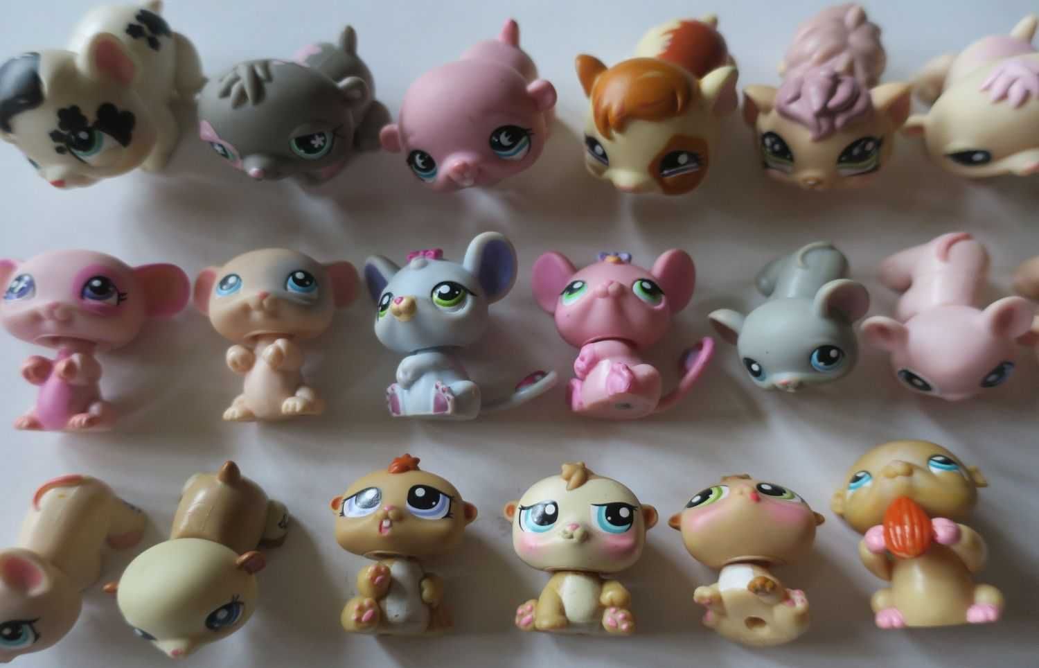 Świnka morska mysz myszka chomik Littlest Pet Skop lps