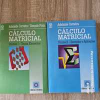 Livro Cálculo Matricial