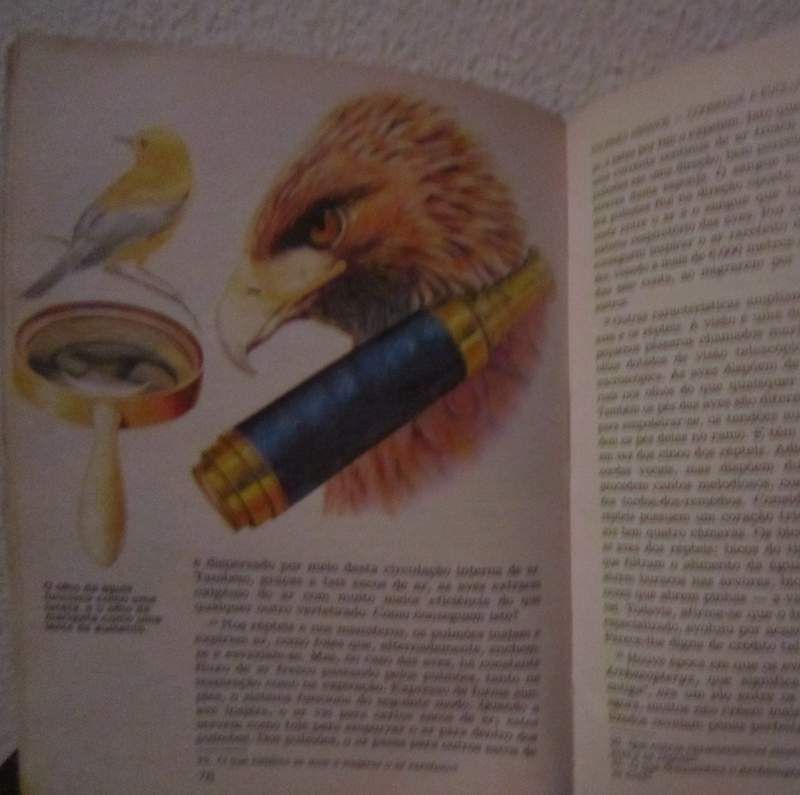 Livro 'A Vida - Qual a sua origem? A evolução ou a criação? '