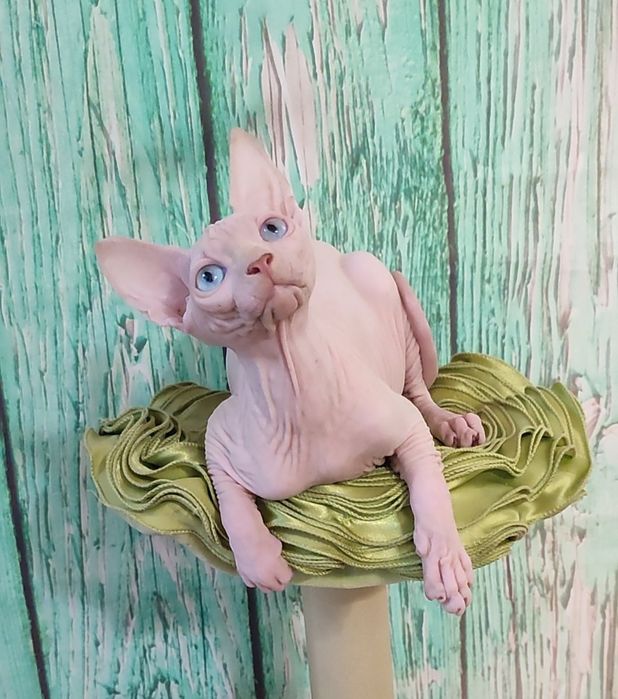 Голубоокий блондин