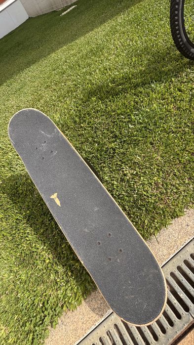 Skate screw usado