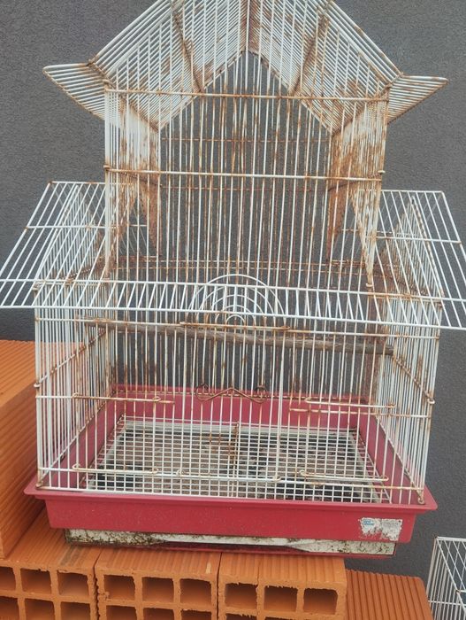 Gaiola mais canário