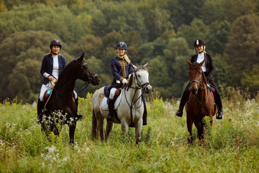 Sprzedam obornik koński, najlepszy nawóz do ogrodu !!!
