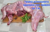Мясо кроля и тушка живым весом