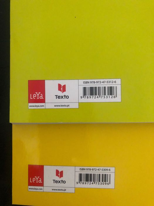 Novo 10 Física e Química A (caderno de atividades)