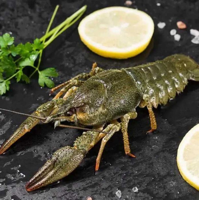 Раки охолоджені Мега-великі до 10 шт/кг (110+ грам/штука)