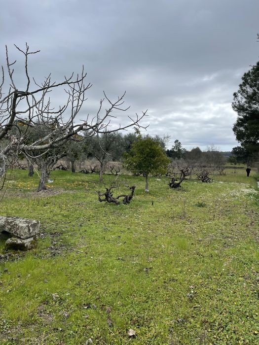 Vende-se Quinta 2500 m2