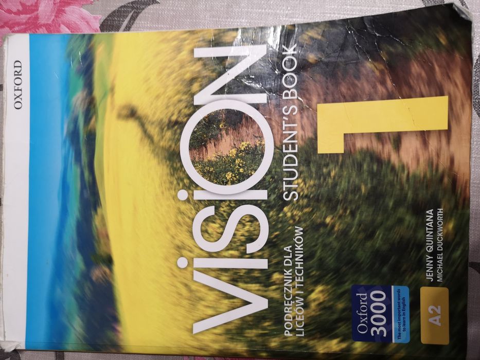 Vision 1 liceum i technikum
