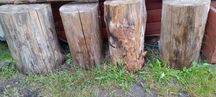 pieniek pieńki 7 szt ozdoba do ogrodu na działkę