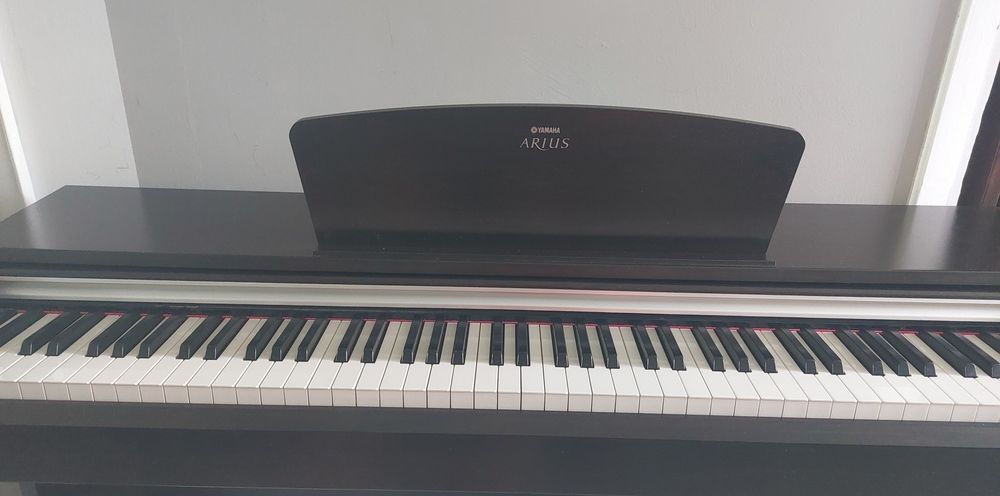 Yamaha ypd 135 digital pianino