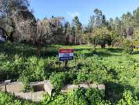 Terreno com 3700m2 na Rua do Marco, Feteira, Pombal