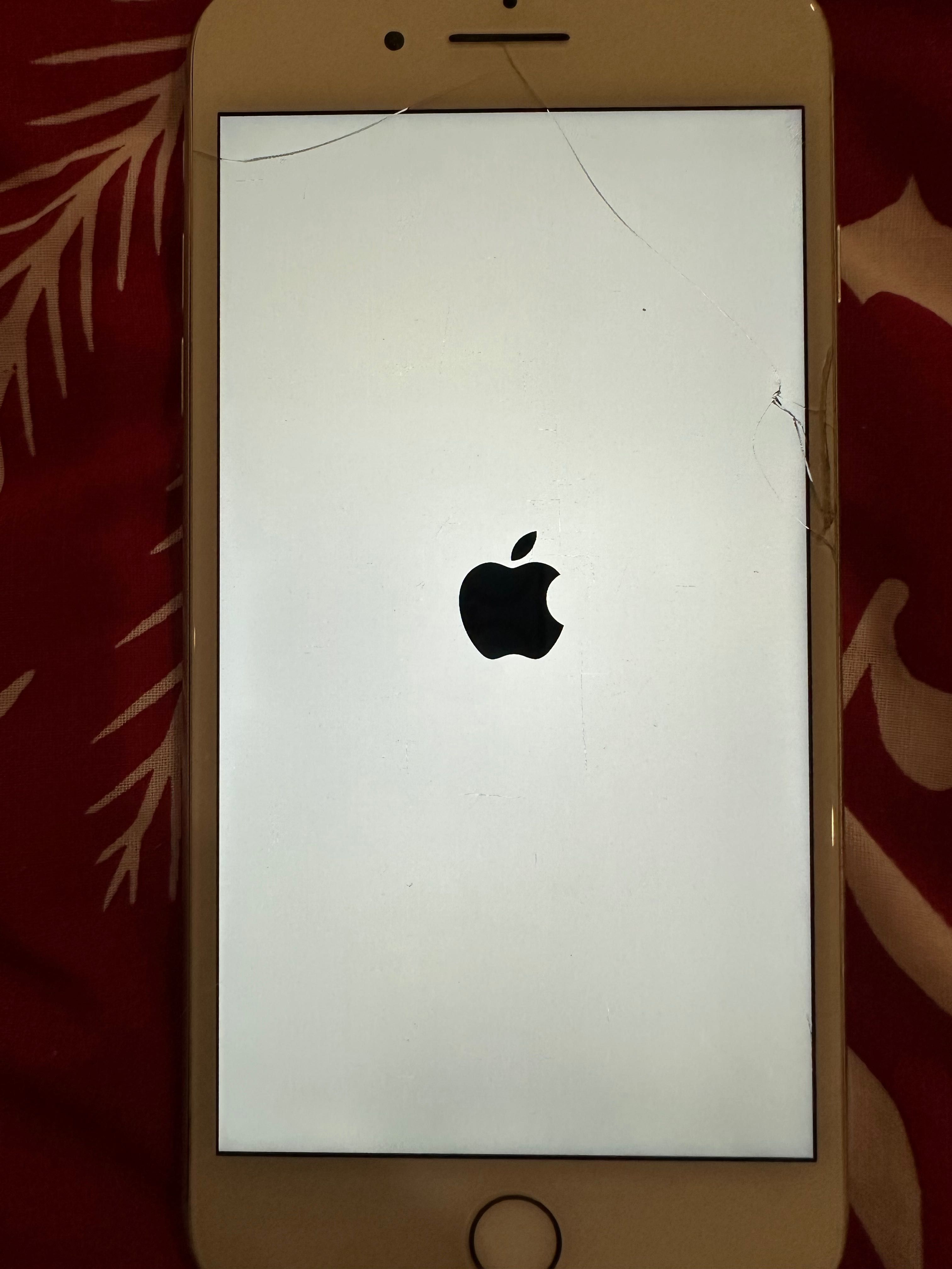 iPhone 8 Plus 256 gb