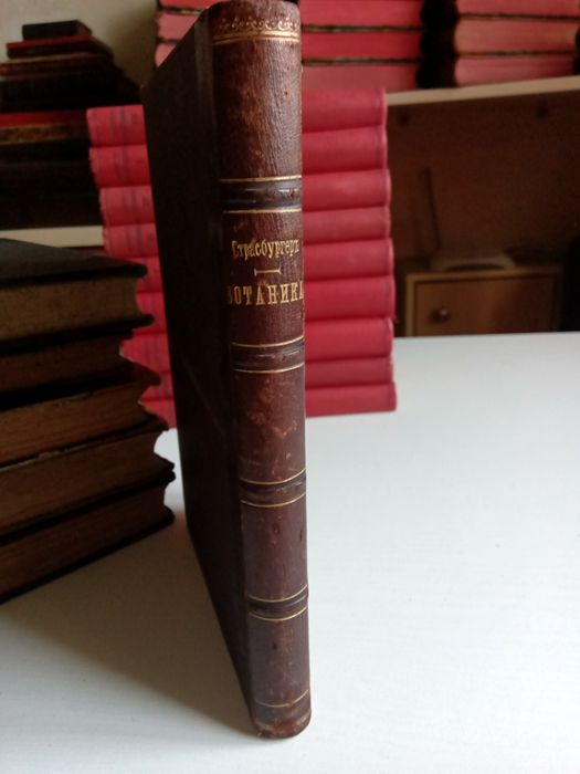 Легендарный Учебник Ботаники. Риккера. 1898 г.
