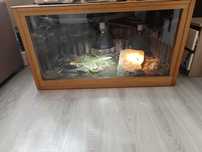 Terrarium 103x61x57