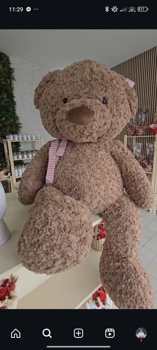 Trespasse de florista