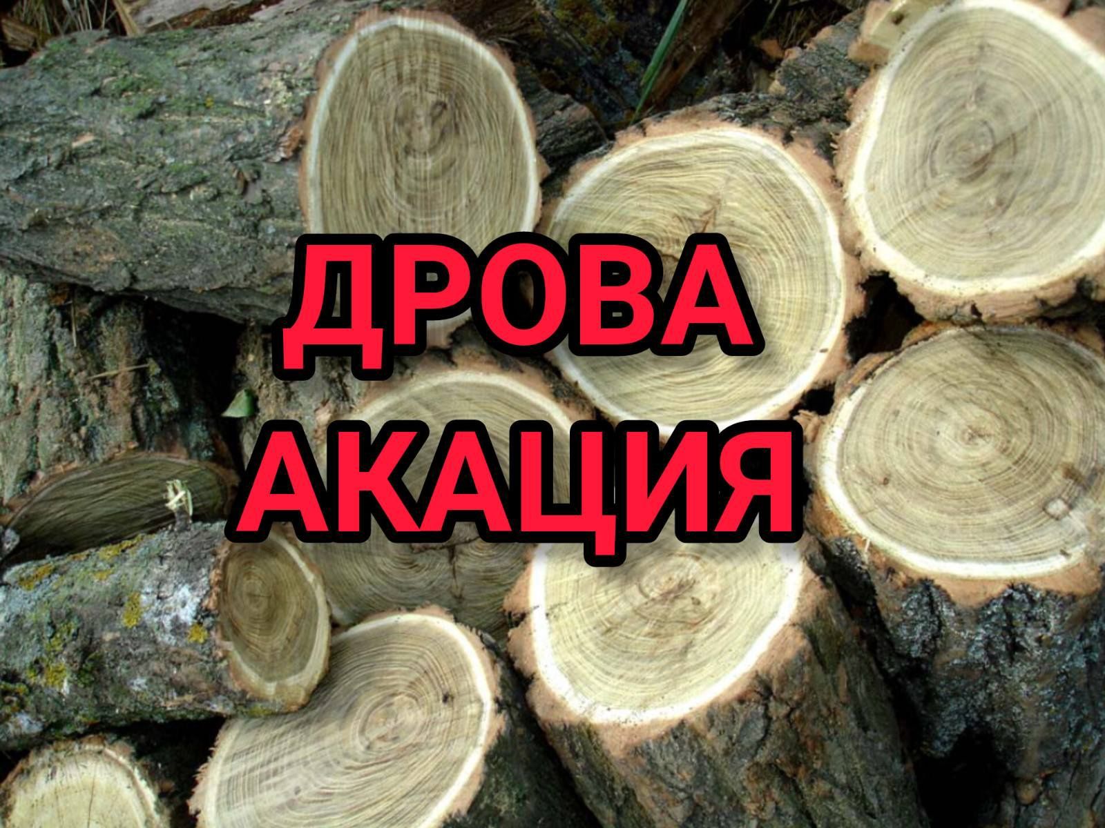 Продам дрова акации. Доставка по городу бесплатно