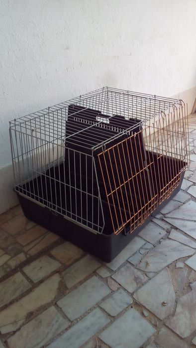 Caixa Dupla Transporte Animais