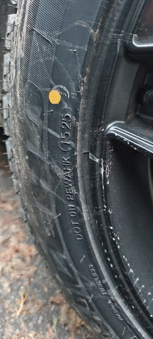 255 50 19 комплект