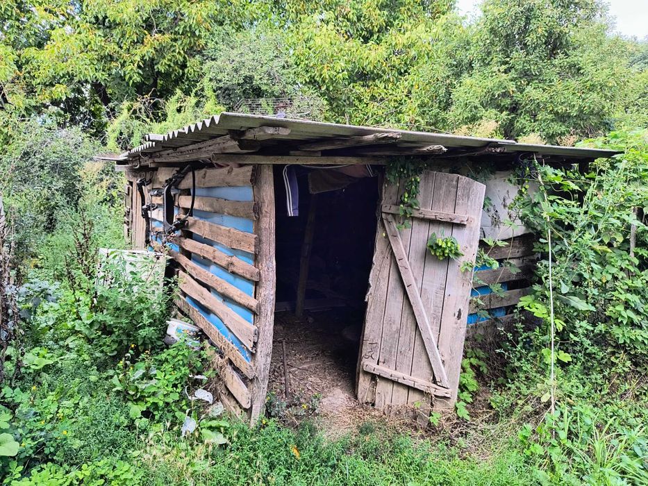 Дім 56 м2 біля самого лісу Собківка 8 км Умань піч меблі 25 соток