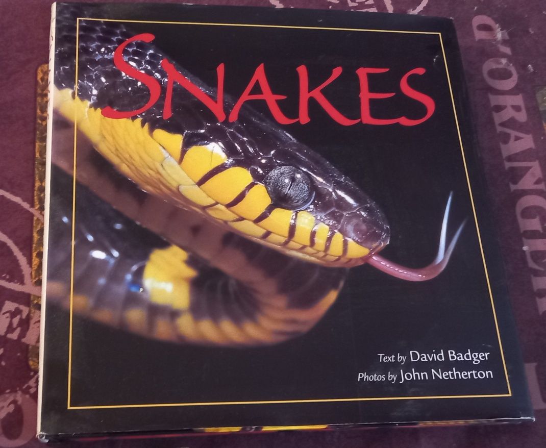 SNAKES: Fotos inéditas